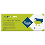 MAXCARE UNIVERSAL BLOCK 2 X 10KGS thumbnail