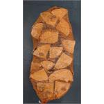 CPL KILN DRIED BIRCH LOGS 40LTR (IN NET) Thumbnail Image 1