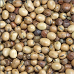 Bamfords Channel Mix 20kgs thumbnail
