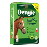 DENGIE HEALTHY TUMMY 20Kgs Thumbnail Image 0