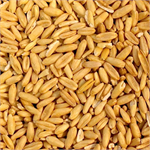 NAKED OATS 25KGS thumbnail