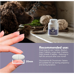 Dorwest JointWell 100 Tablets (Was Glucosamine & Chondroitin) Thumbnail Image 3