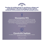 Dorwest JointWell 100 Tablets (Was Glucosamine & Chondroitin) Thumbnail Image 1
