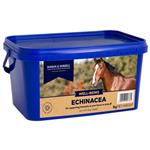 DODSON & HORRELL ECHINACEA 1KG thumbnail