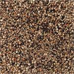 Beyers Deli Nature Wildseeds 3kgs Thumbnail Image 1