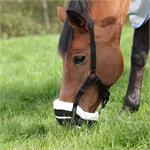 FreeGraze AirFlow Grazing Muzzle thumbnail