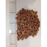 Mixed Tiger Nuts for Fishing 20kgs (6-15mm) thumbnail