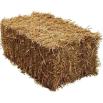 BALE OF BARLEY STRAW thumbnail