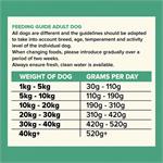SEVEN GRAIN FREE DOG FOOD - Adult Lamb, Sweet Potato & Mint 12kg  Thumbnail Image 1