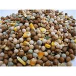 TITMUSS BELGIUM ECONOMY MIX 25KGS thumbnail