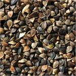 BUCKWHEAT 20kgs thumbnail