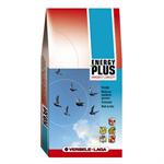VERSELE-LAGA ENERGY PLUS I.C. - rich in fats 18KG thumbnail