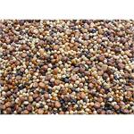 20KGS TITMUSS WILD BIRD FEEDER SEED  thumbnail