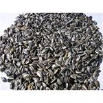 STRIPED SUNFLOWER SMALL 25KGS thumbnail