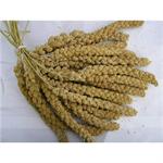 CHINESE MILLET SPRAYS 2KG thumbnail
