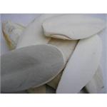 CUTTLEFISH BONES 2KG  thumbnail