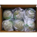 12 GIANT FAT BALLS with nets thumbnail