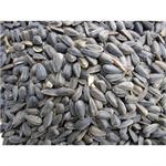 BLACK SUNFLOWER 15KG thumbnail