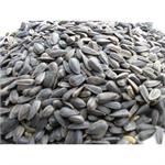 BLACK SUNFLOWER 2KG thumbnail
