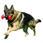 CLIX TRAINING DUMBBELL SMALL thumbnail
