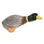 MY PET MINI MALLARD thumbnail