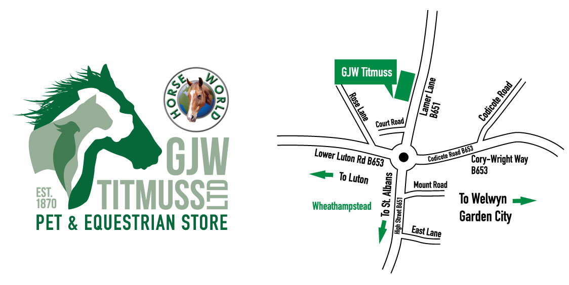GJWT map